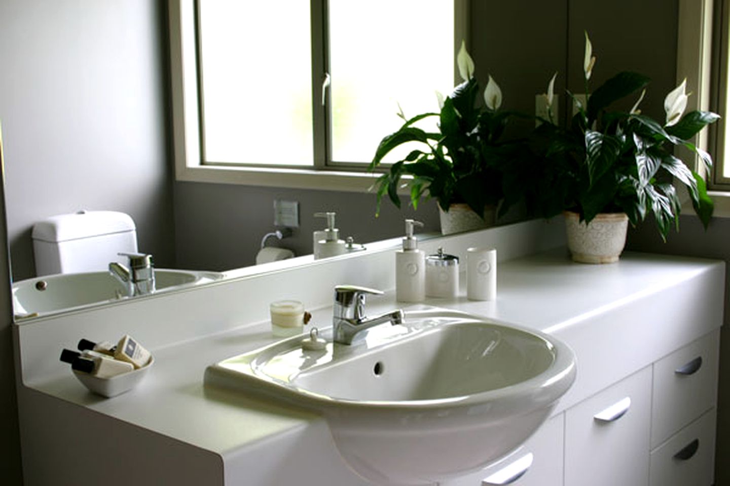 Luxury Vacation Room Rental in Stunning Lodge, Katikati, New Zealand