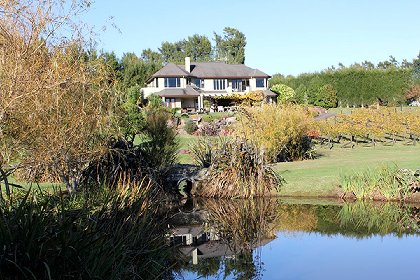 Luxury Vacation Room Rental in Stunning Lodge, Katikati, New Zealand