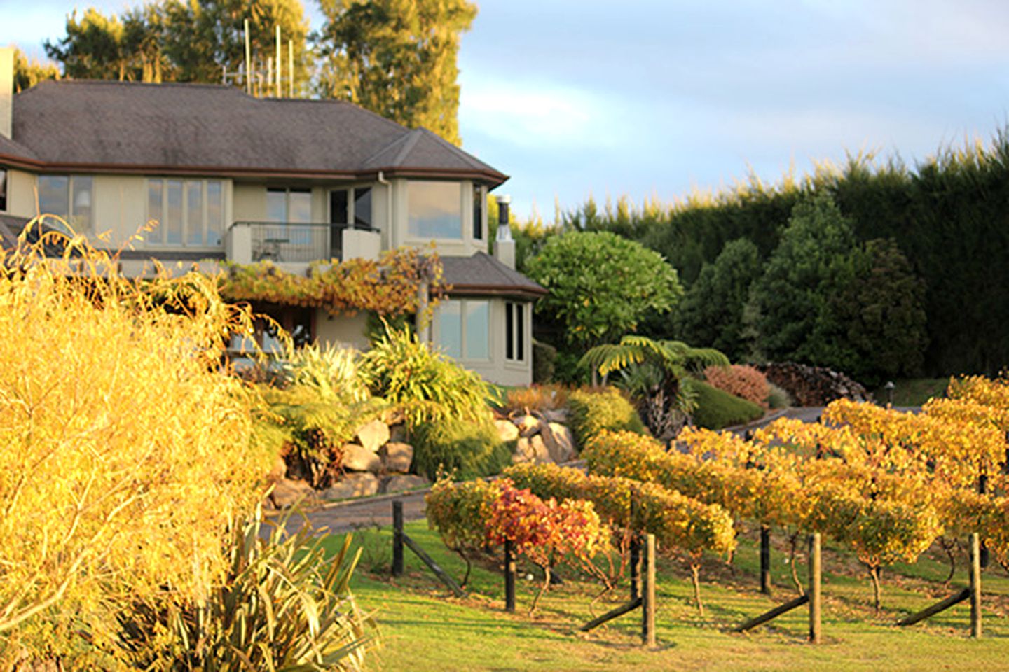 Luxury Vacation Room Rental in Stunning Lodge, Katikati, New Zealand