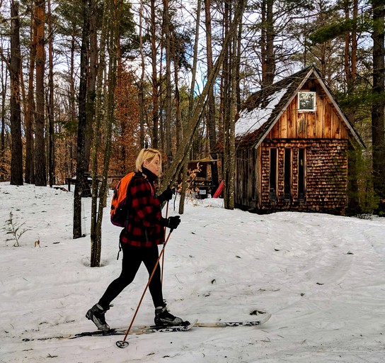 Tiny Houses (Riparius, New York, United States)