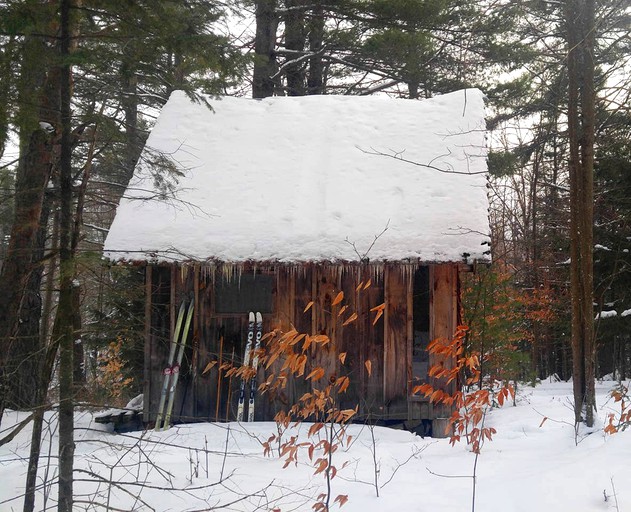 Tiny Houses (Riparius, New York, United States)