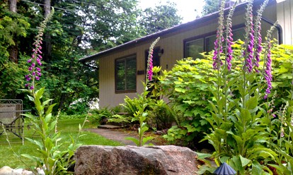 Oregon Cottage Rental with a King-Size Bed Overlooking Blue River photo 5