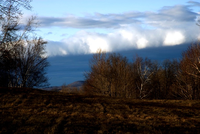 Nature Lodges (Williamstown, Massachusetts, United States)