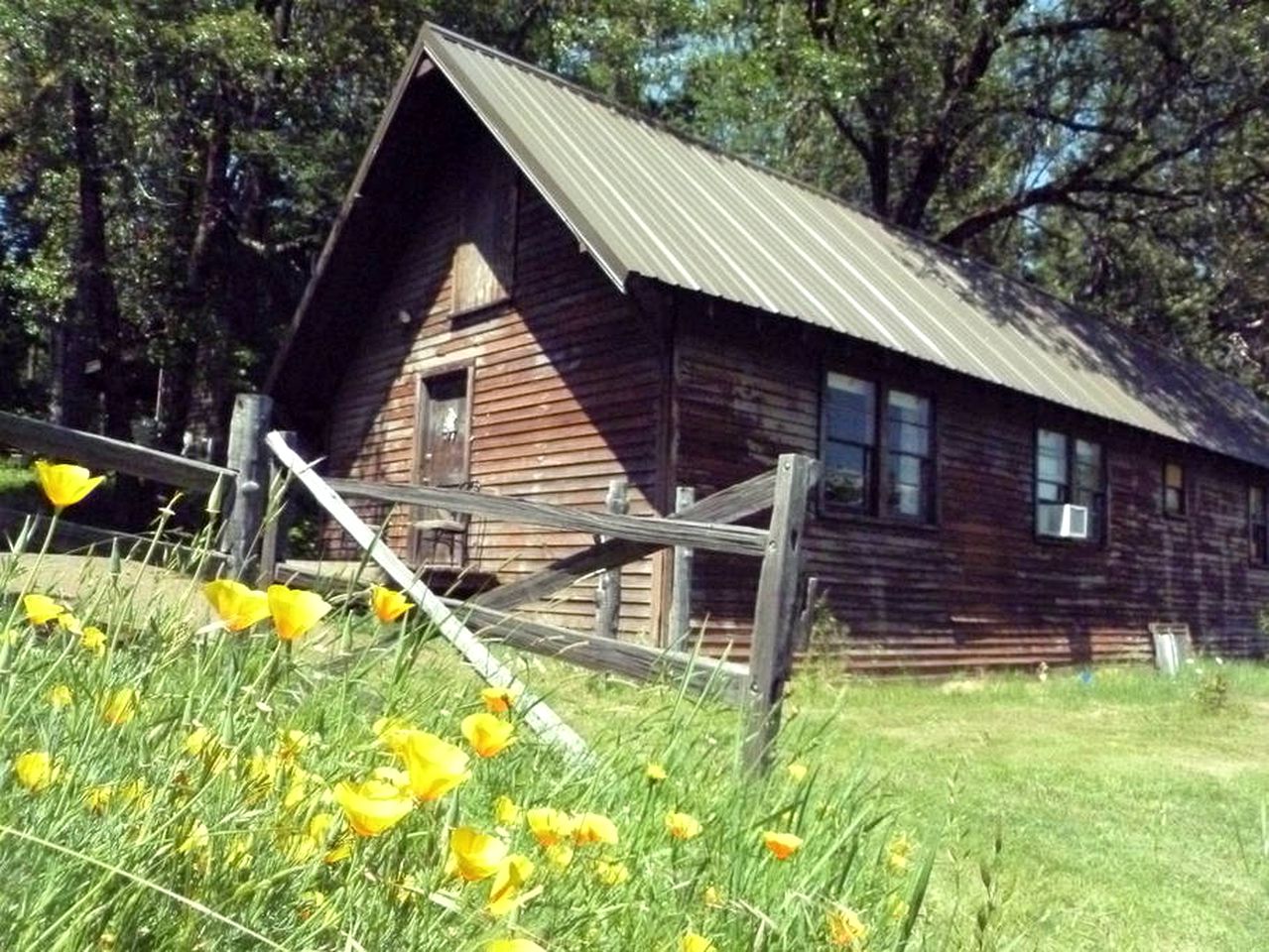 Rustic Cabin Rental in a Wild Meadow near Crater Lake National Park, Oregon