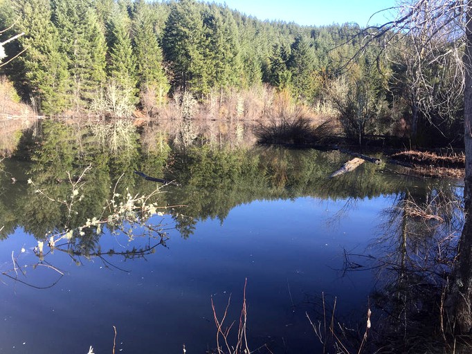 Cabins (Prospect , Oregon, United States)