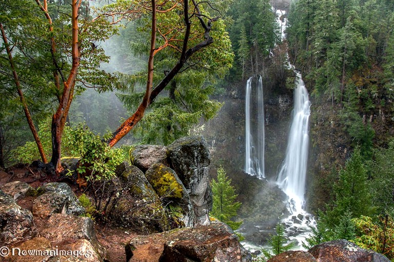 Cabins (Prospect , Oregon, United States)