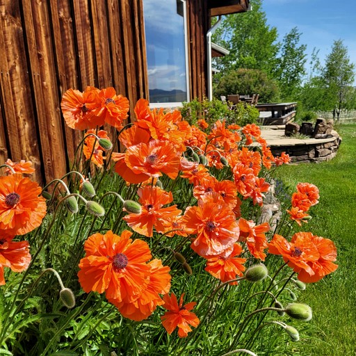 Vacation Rentals (United States of America, McAllister, Montana)