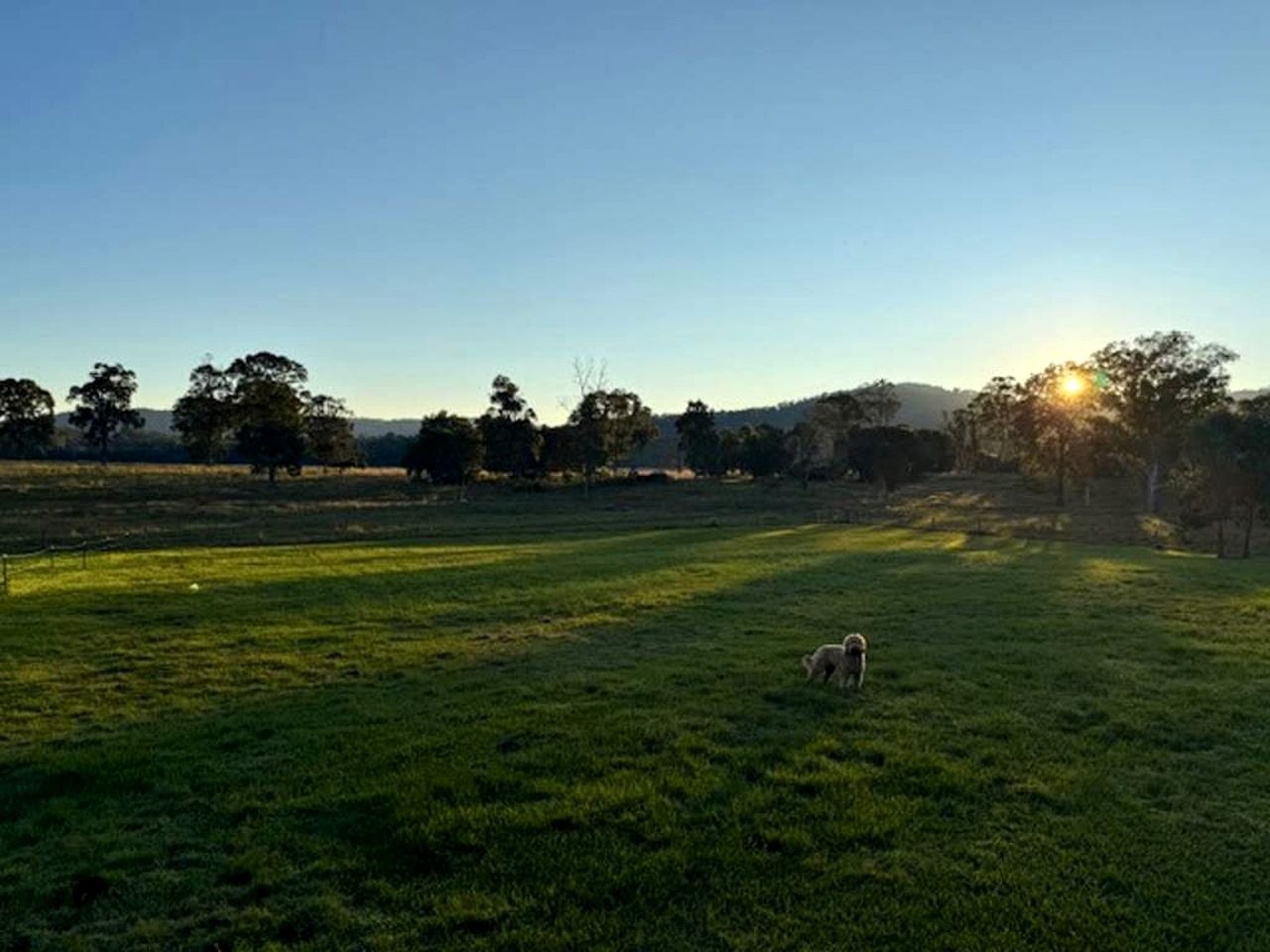 Serene Tiny Home Retreat with Farm Views, Near Noosa Heads in Tuchekoi, Queensland