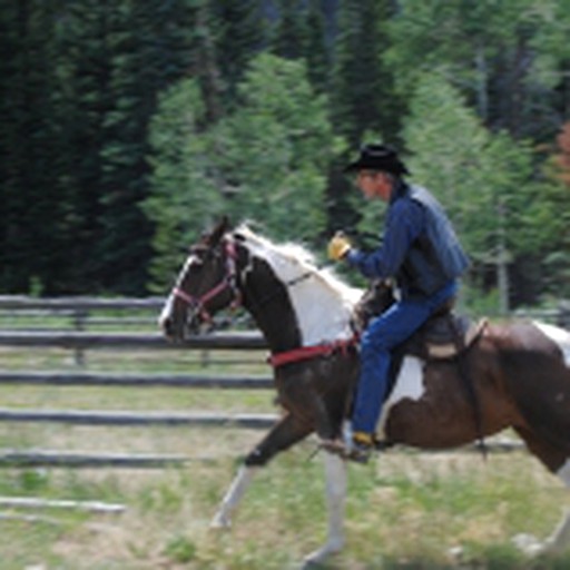Medicine Bow Lodge, Log Cabins 25250, Saratoga , United States of