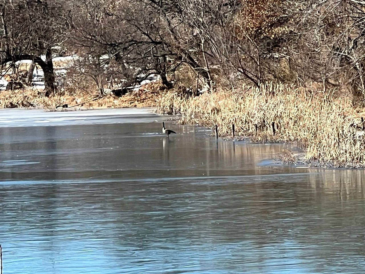 Cozy Tiny House with Hammock Patio near Bath Lake in Medicine Park, Oklahoma