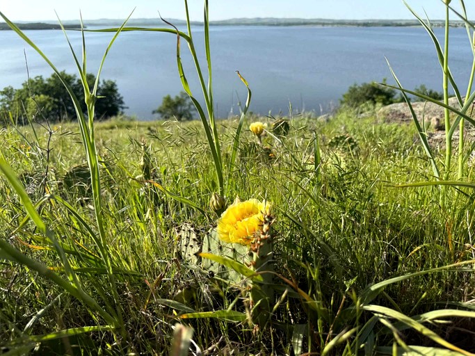 Vacation Rentals (United States of America, Medicine Park, Oklahoma)