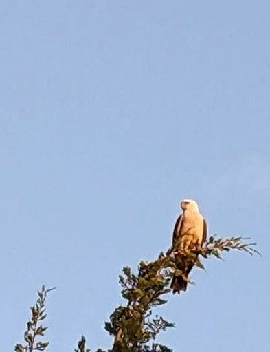 Vacation Rentals (United States of America, Medicine Park, Oklahoma)