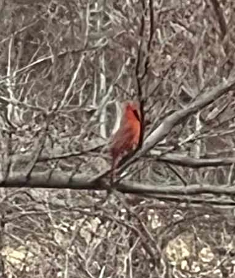 Cozy Tiny House with Hammock Patio near Bath Lake in Medicine Park, Oklahoma
