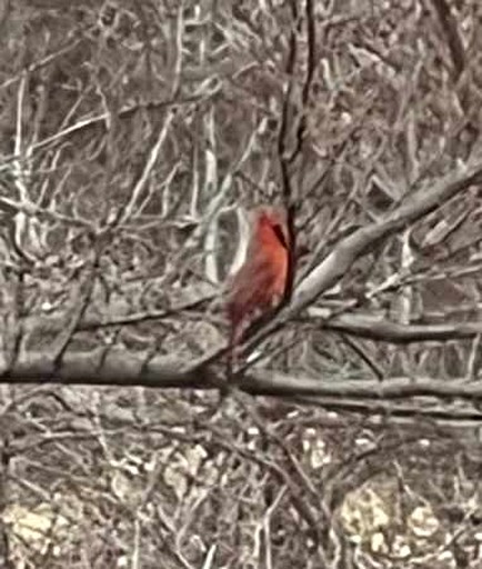 Vacation Rentals (United States of America, Medicine Park, Oklahoma)