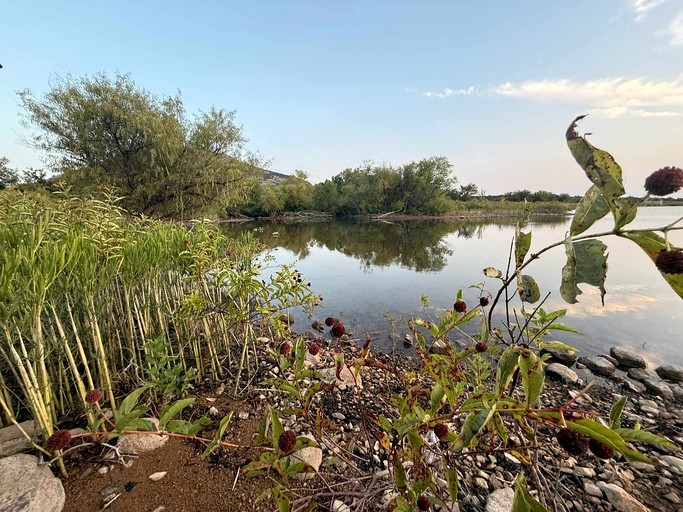 Vacation Rentals (United States of America, Medicine Park, Oklahoma)