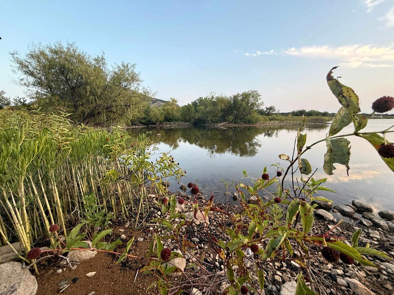 Charming Wheelchair-Accessible Tiny House with Patio near Wichita Mountains – Medicine Park, OK