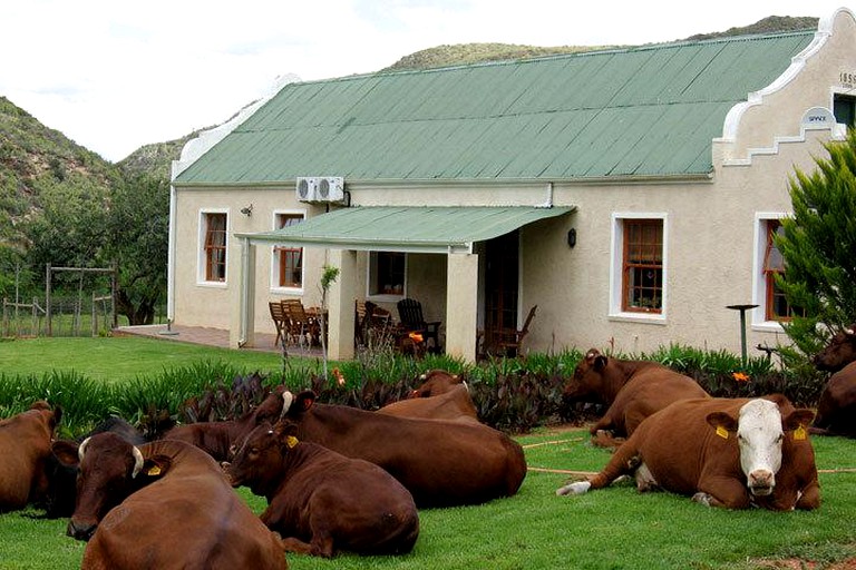 Cottages (De Rust, Western Cape, South Africa)