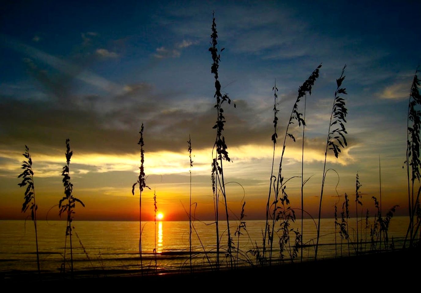 Stunning Secluded Beach House Right on the Sand for the Ultimate Relaxing Escape by the Coast on Little Gasparilla Island, Florida