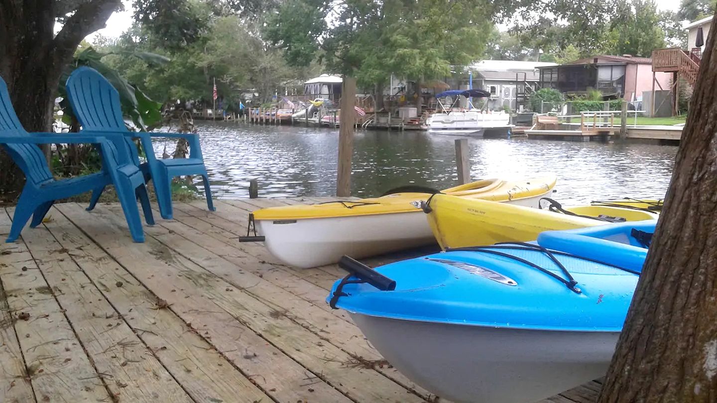 Serene Cottage Surrounded by Trees in Weeki Wachee, Florida