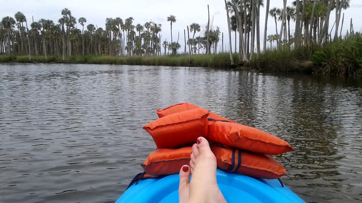 Serene Cottage Surrounded by Trees in Weeki Wachee, Florida