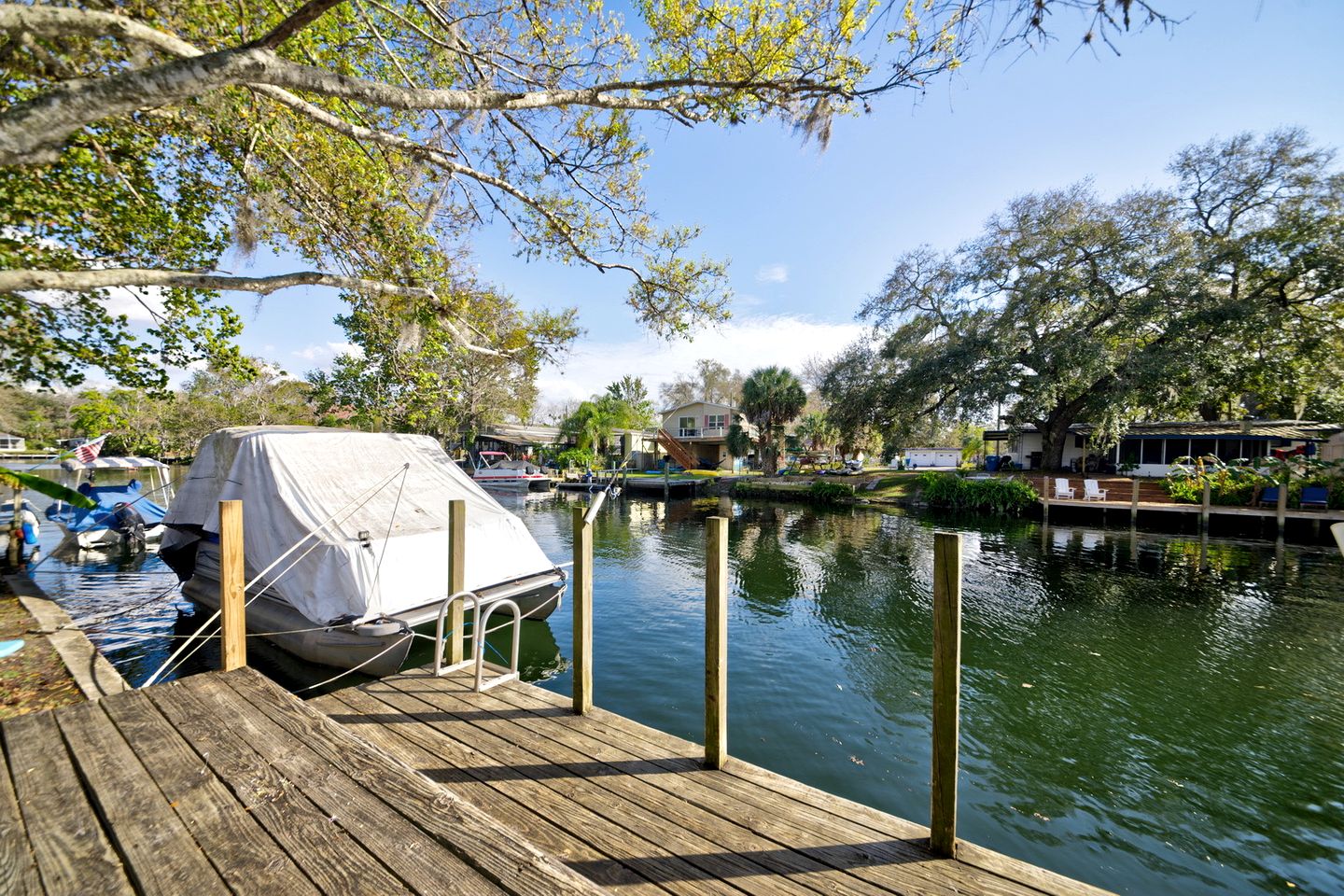 Serene Cottage Surrounded by Trees in Weeki Wachee, Florida