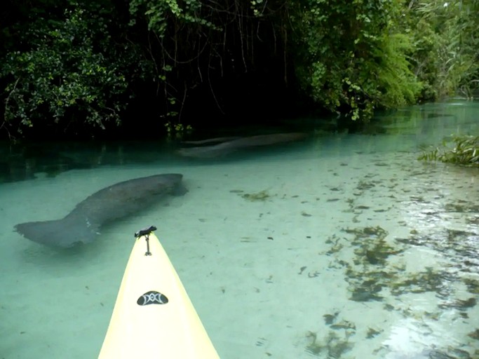 Cottages (United States of America, Weeki Wachee, Florida)