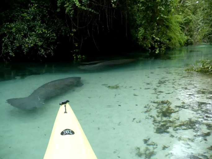 Cottages (United States of America, Weeki Wachee, Florida)