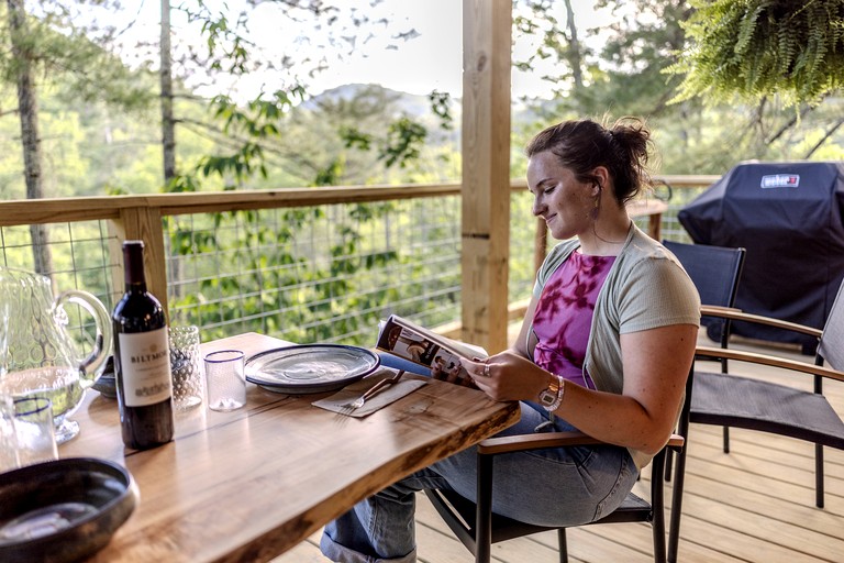 Tree Houses (United States of America, Zirconia, North Carolina)