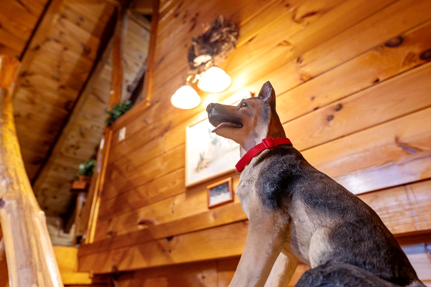 Secluded Smoky Mountain Cabin with Hot Tub & Fireplace near Pigeon Forge, Tennessee