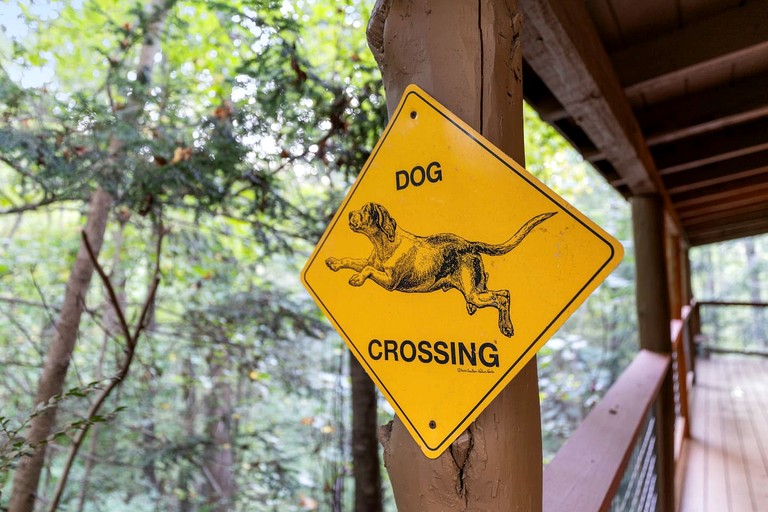 Cabins (United States of America, Sevierville, Tennessee)