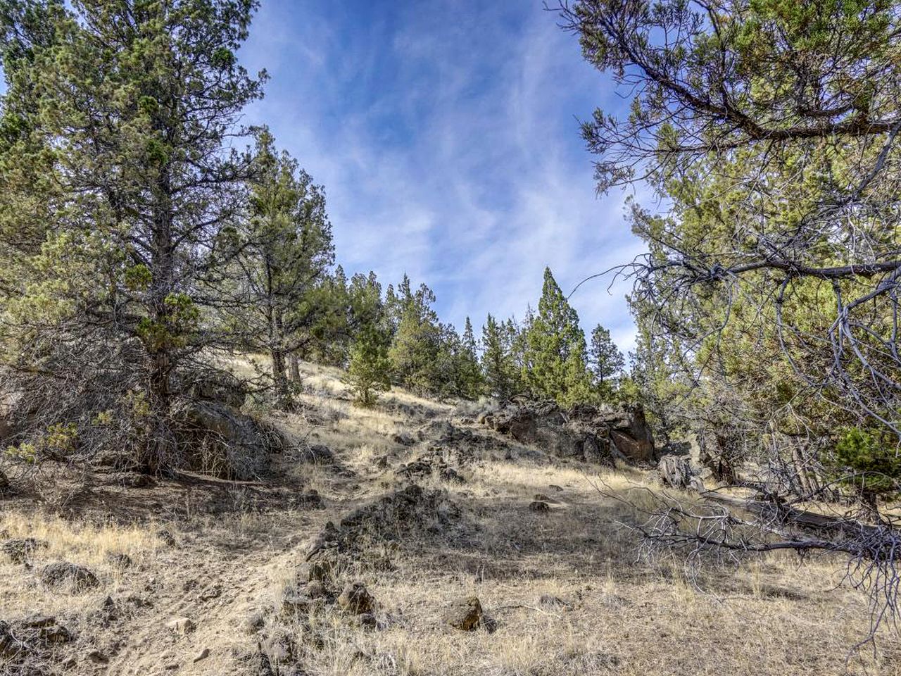 Cabin Rental on Deschutes River, Oregon