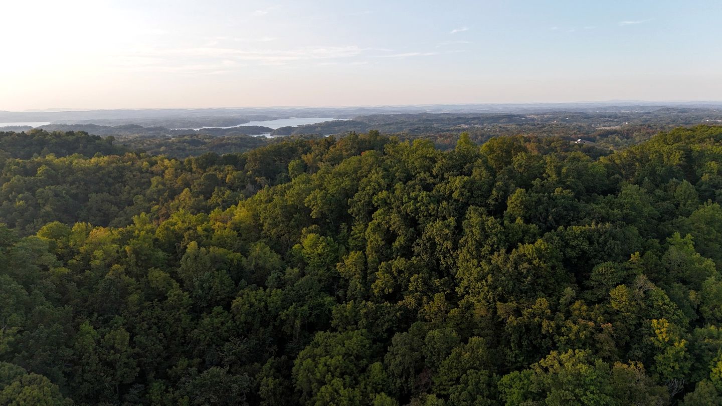Sweet Comfy Cabin with Beautiful Hiking Trails and Outdoor Adventures in TN
