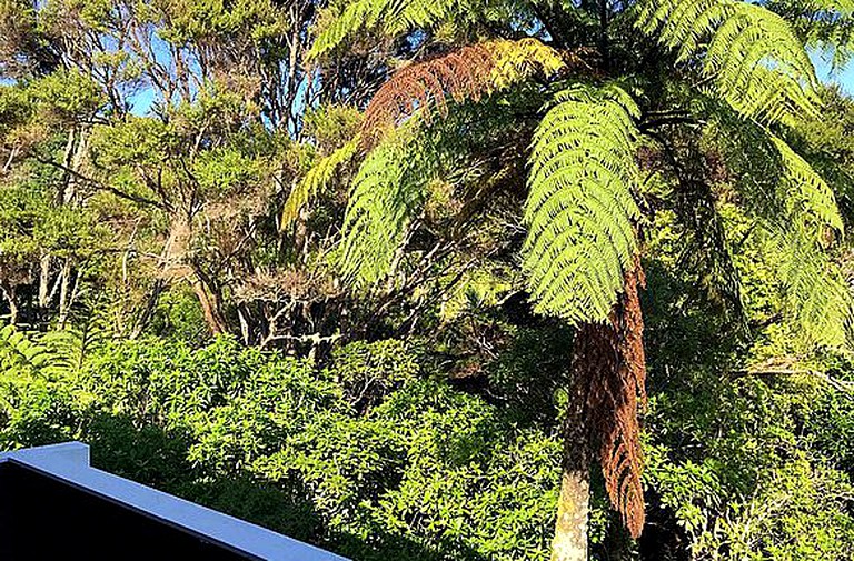 Nature Lodges (Auckland, North Island, New Zealand)