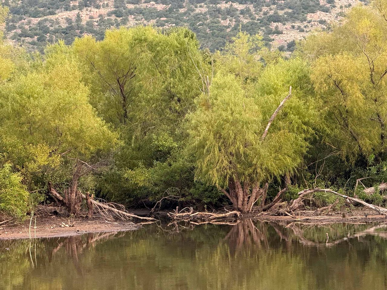 Wheelchair-Accessible Tiny House with Patio Near Bath Lake in Medicine Park, Oklahoma