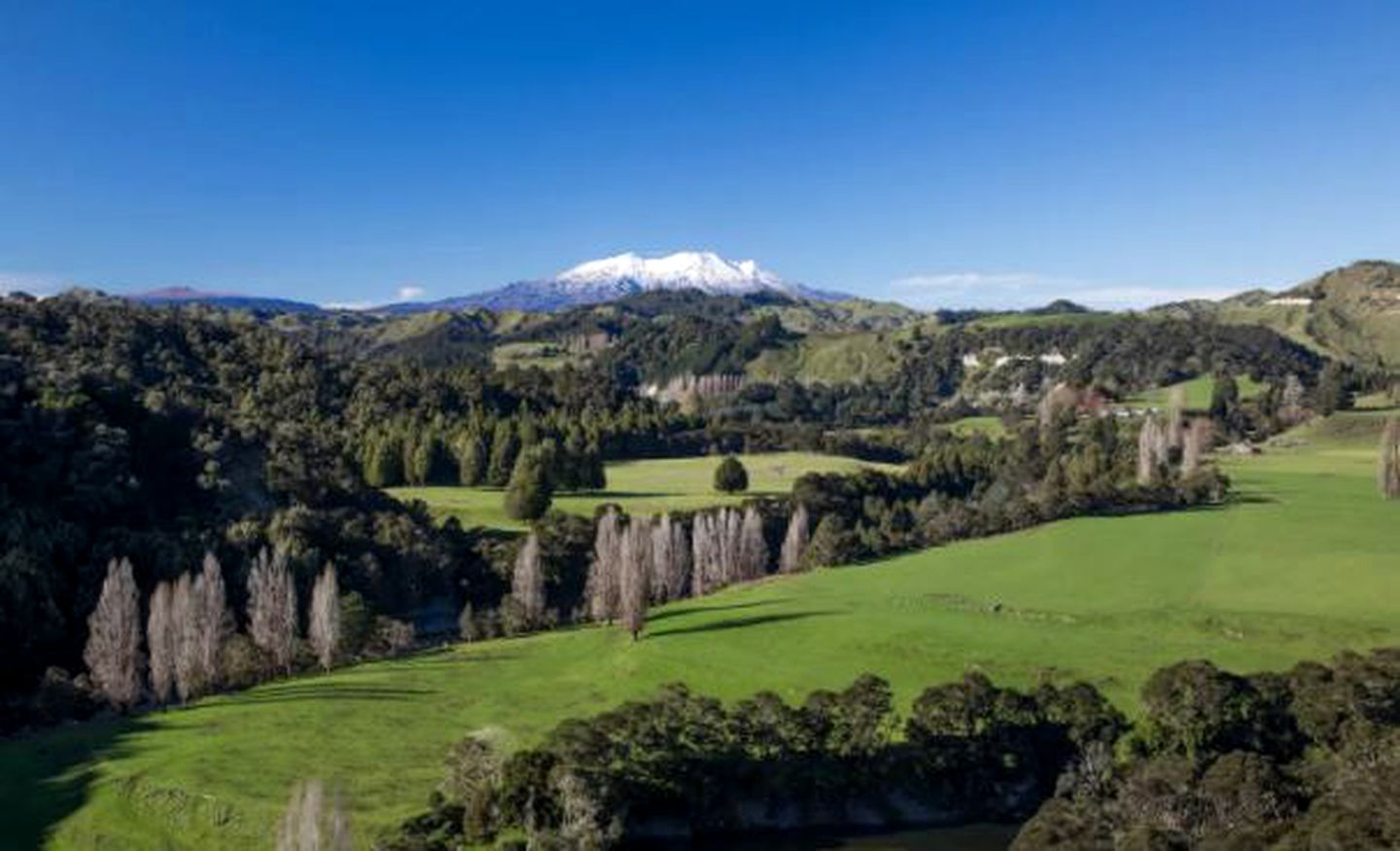 Cozy Cottage near Tongariro National Park on New Zealand's North Island