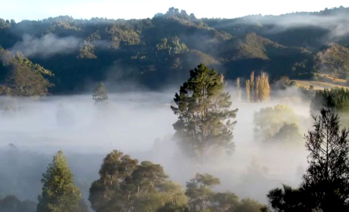 Cozy Cottage near Tongariro National Park on New Zealand's North Island