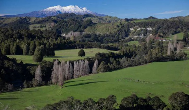 Cottages (Raetihi, North Island, New Zealand)