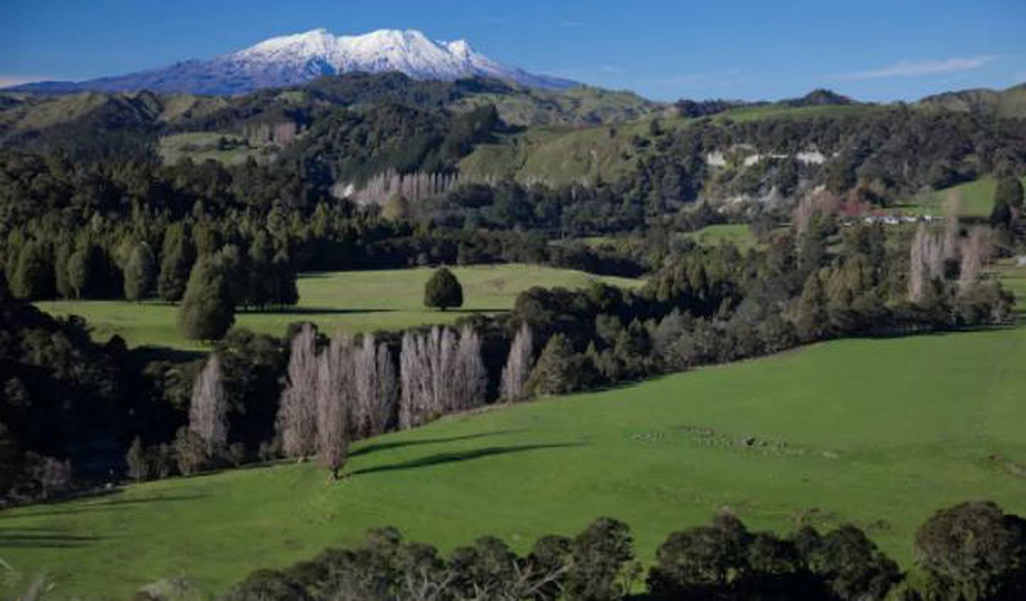 Cozy Cottage near Tongariro National Park on New Zealand's North Island