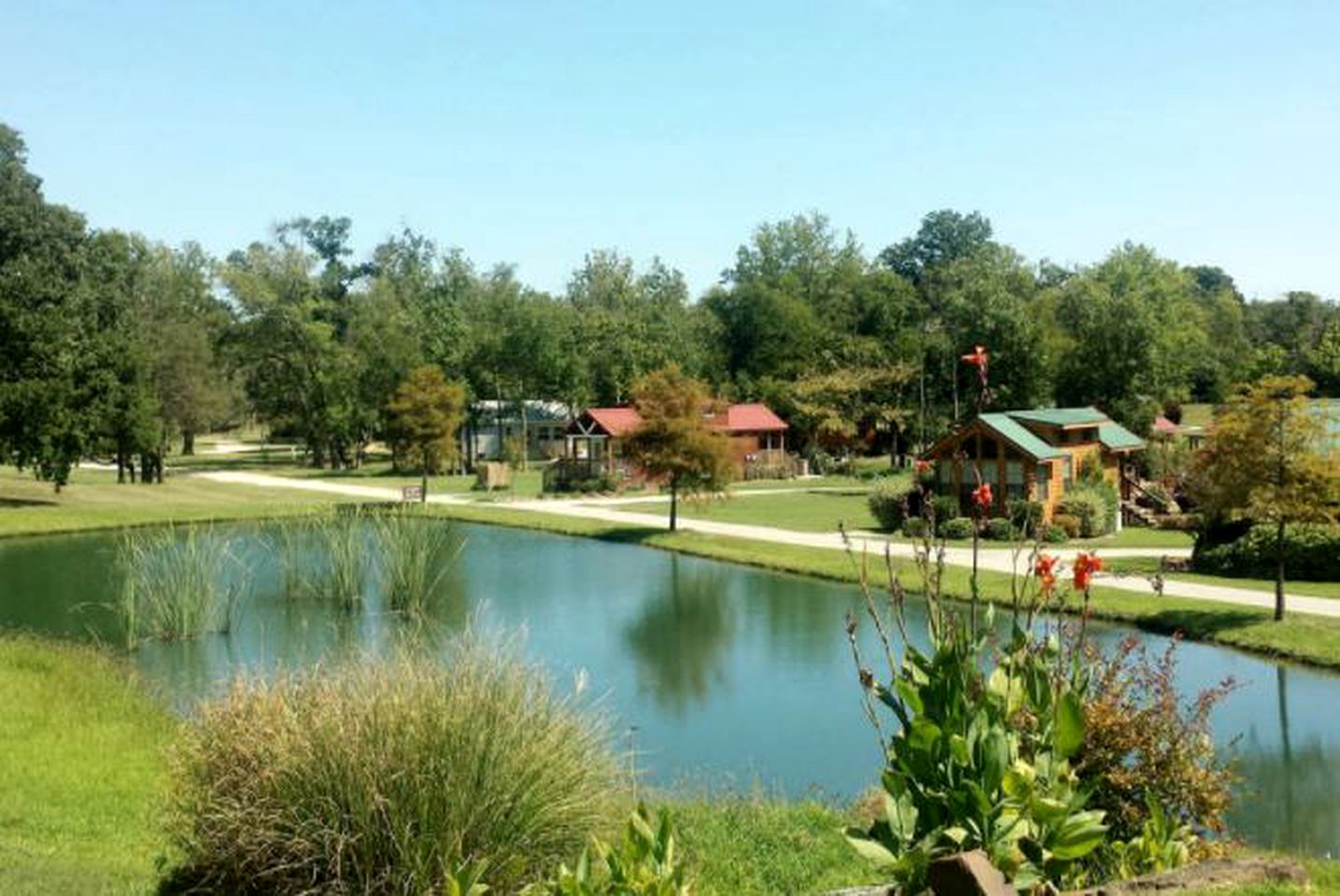 Cozy Escape in a Tiny House in Canton, Texas
