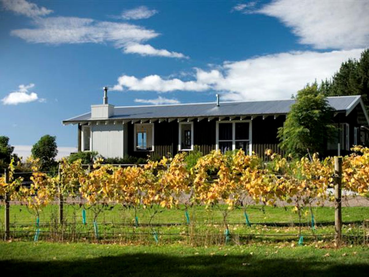 Contemporary Holiday Rental with Swimming Pool on Hawke’s Bay Vineyard, New Zealand