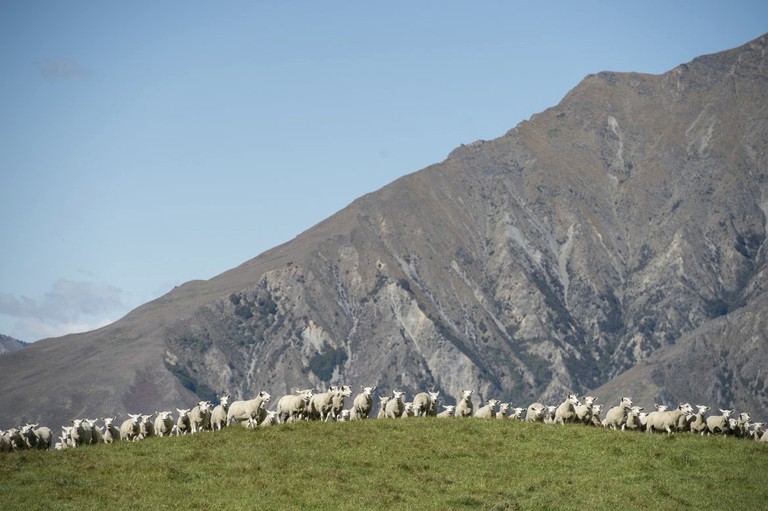 Cabins (Wanaka, South Island, New Zealand)