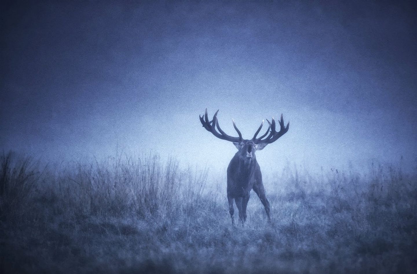 Secluded Cabin with Private Hot Tub Accessible only by Helicopter by Lake Wanaka, New Zealand