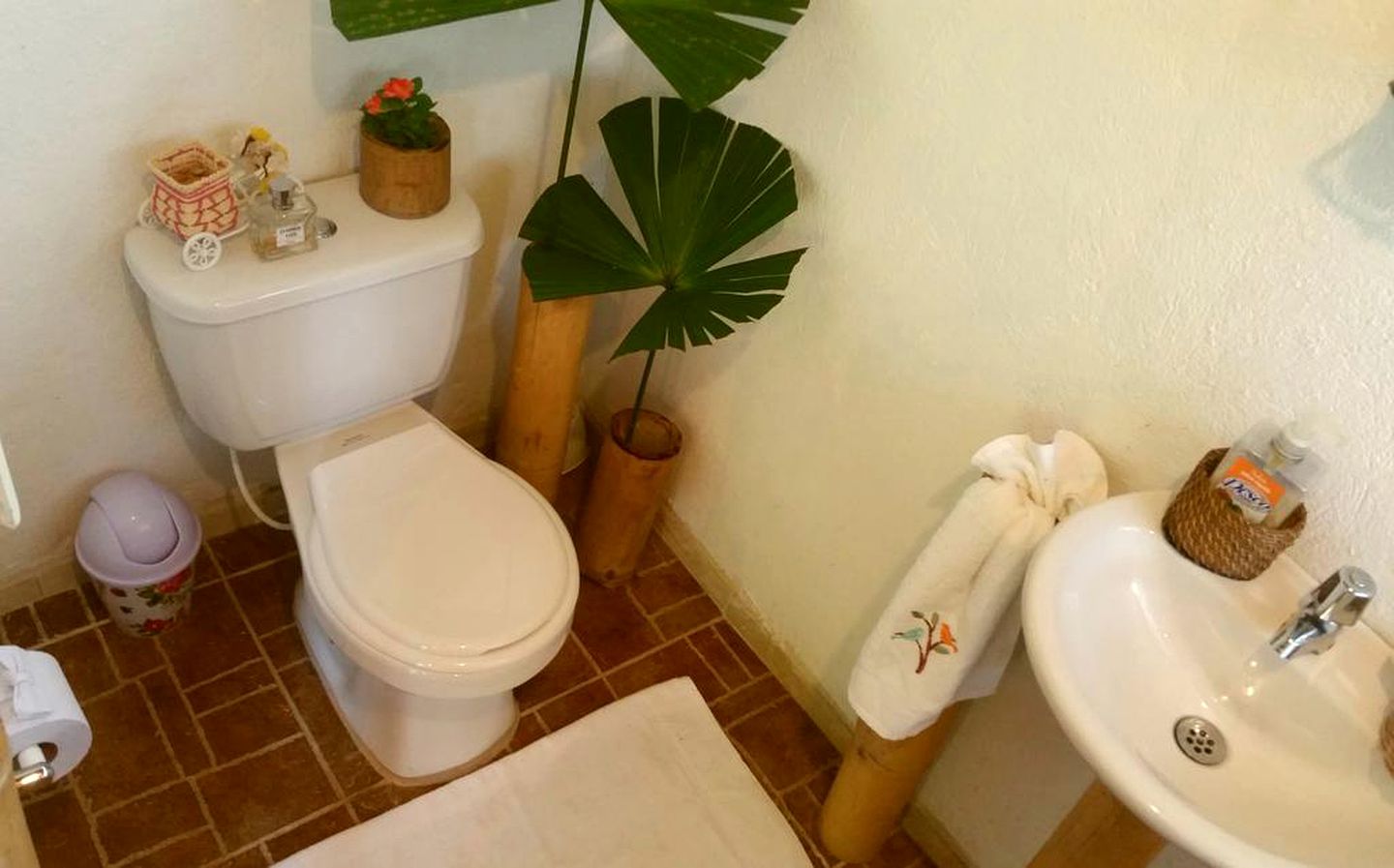 Tropical Romantic Getaway near Santa Marta in Minca, Colombia