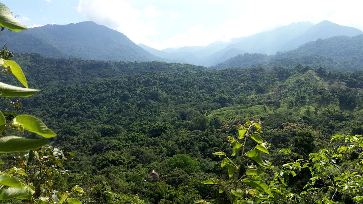 Romantic Bungalow Rental with Mountain Views in Minca, Colombia