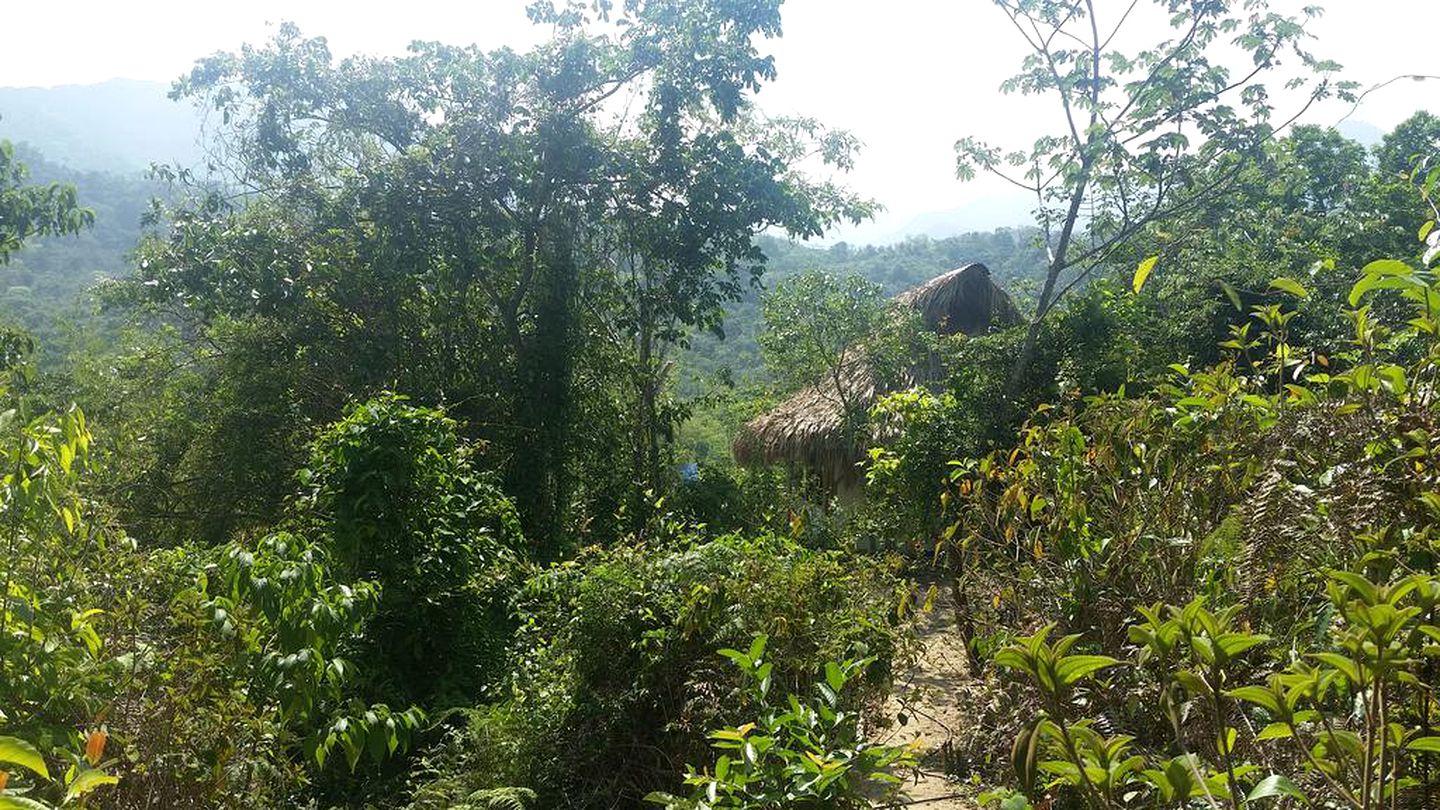 Romantic Bungalow Rental with Mountain Views in Minca, Colombia