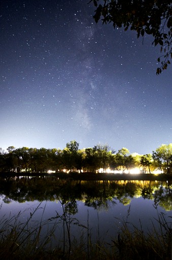 Vacation Rentals (United States of America, --, --)