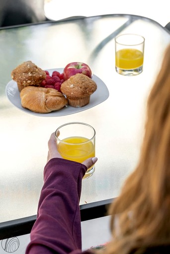 Tiny Houses (Canada, Matawinie Regional County Municipality, Quebec)