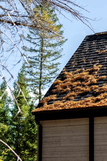 Tiny Houses (Canada, Matawinie Regional County Municipality, Quebec)