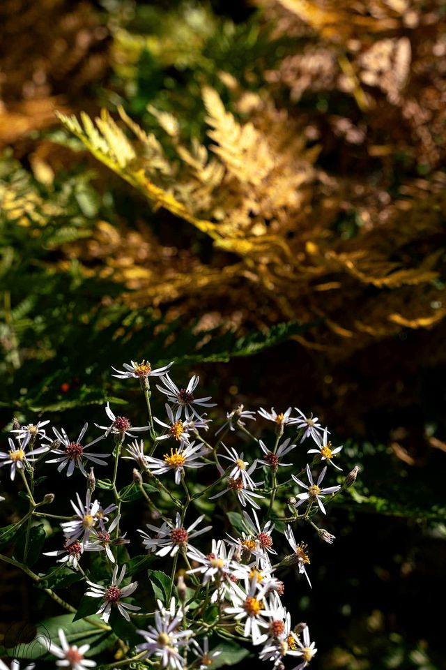 Cozy Mini-Chalet Retreat Steps from Chute-à-Bull Park in St-Côme, Quebec