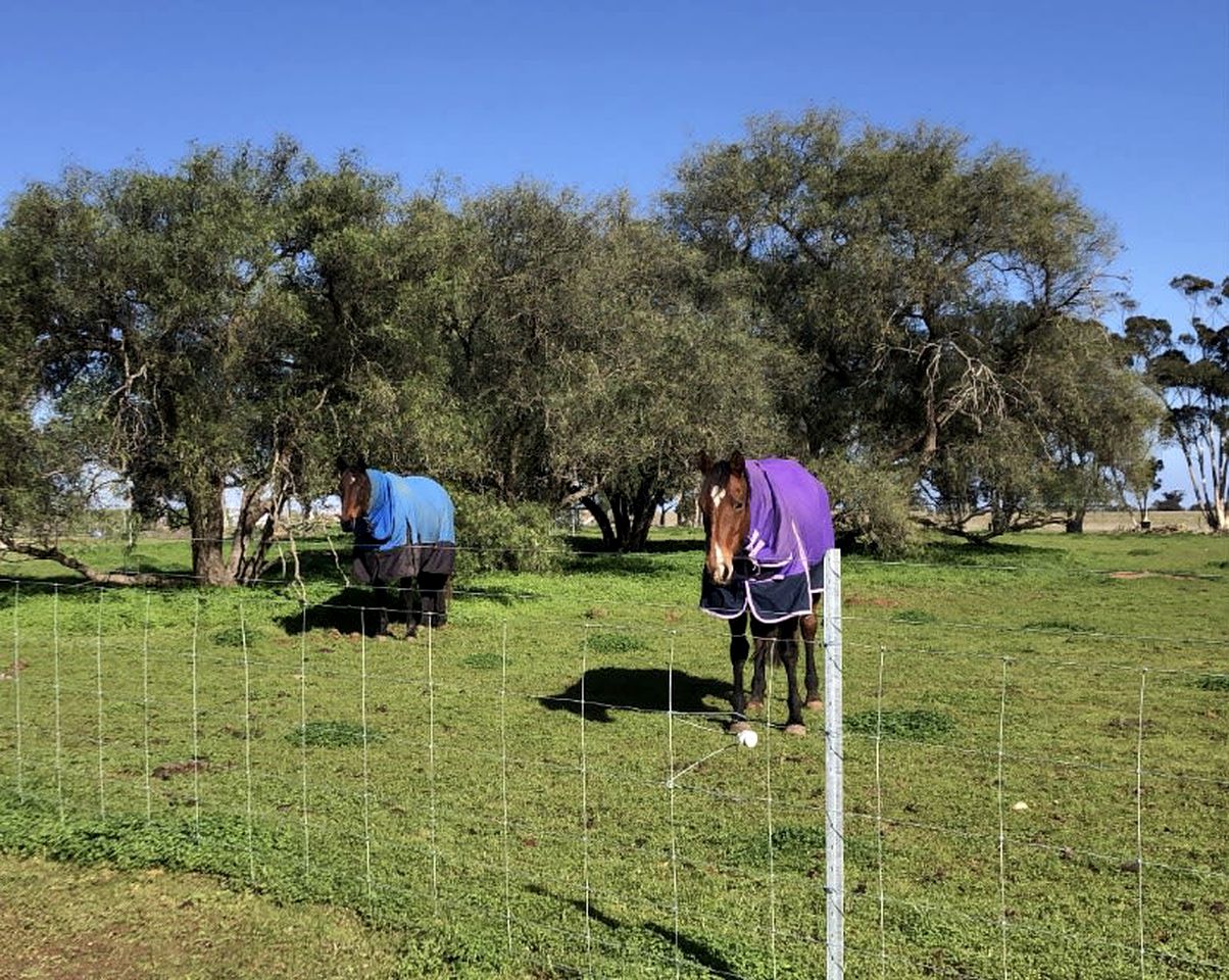 Miniature Glamping on a Victoria Farm, Ideal to Discover the Grampians